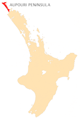 NZ-Aupouri P