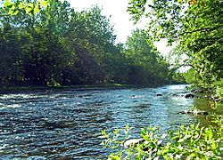 Neversink River at Cuddebackville