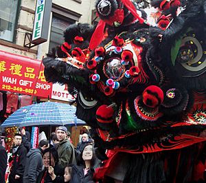 New York lion dance lion