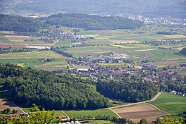 Otelfingen - Hüttikon - Lägern Burghorn 20100524 17-23-56.JPG