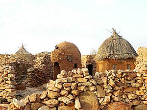 Pays dogon (13968347594)