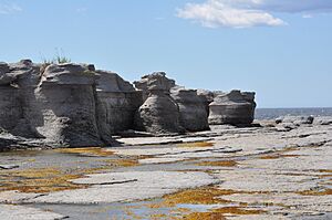 Platier de l'Île Nue de Mingan