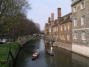 Punting on the Cam - geograph.org.uk - 22358