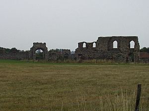 Remains of Franciscan Monastery, Dunwich - geograph.org.uk - 74176