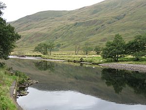River Orchy - geograph.org.uk - 1725563