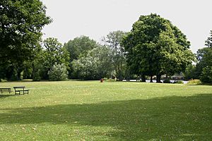 Rivermead Island - geograph.org.uk - 1393331