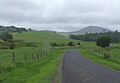 Road to the Cathedral Fig tree in the Atherton Tablelands