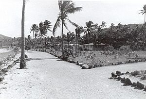Roads and landscape on Dauan Island (undated)