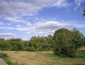 Rodbridge Picnic Site - geograph.org.uk - 1464337