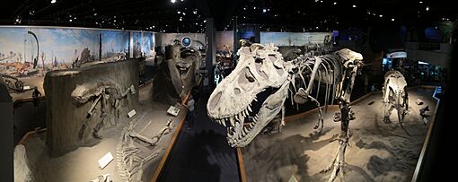 Royal Tyrrell Museum of Palaeontology