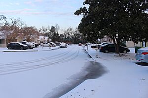 Snow-covered street, Valdosta 2025