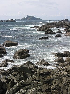 Solander Island