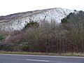 Southerham Works Pit (4)