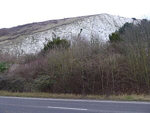 Southerham Works Pit (4)