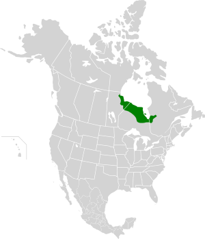 The Hudson Bay Lowlands are the low-lying dark green lands which