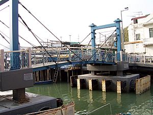 Tai O steel bridge 3