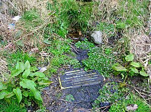 Tanzie Well or St Anne's or Washing House Well