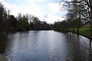 The lake by Chiddingstone Castle - geograph.org.uk - 1260134