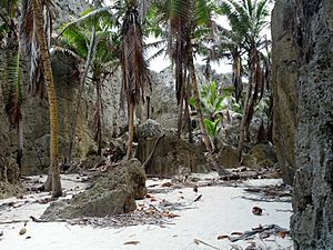 Togo Chasm beach