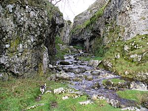 Trollers Gill