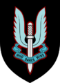 UK SAS (badge)