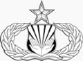 USAF - Chaplain's Assistant Badge Senior 2