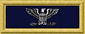 Union army col rank insignia