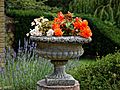 Urn planter at Easton Lodge Gardens, Little Easton, Essex, England 4