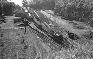 Ventnor railway station in 1963