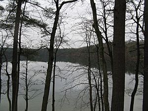 Walden Pond in November, Concord MA