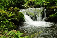 Waterfall in Mtirala National Park.JPG