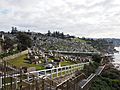 Waverley Cemetery and the boardwalk for the Bondi to Coogee Coastal Walk in July 2018