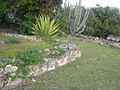Welk Point Fort 4