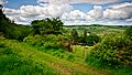 Wicklow Way near Moyne