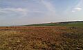 Withypool Stone Circle, May 2014