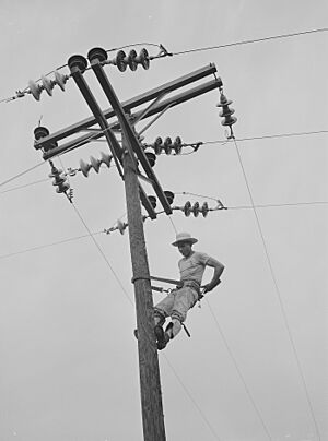 A Rural Electrification Administration cooperative lineman at work in Hayti, Missouri