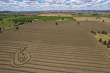 Aerial view of farmland in Dhulura.jpg