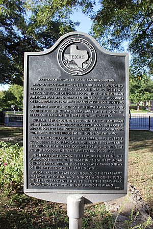 African Americans in the Texas Revolution, Austin, Texas Historical Marker (8501564012)