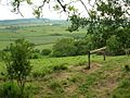 Allerridge