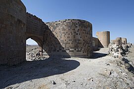 Ani Walls Between inner and outer wall 5486