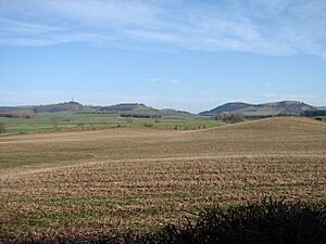 Arnmannoch, Bogrie Lane fields - geograph.org.uk - 687616