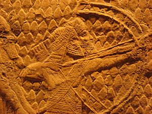 Assyrian Archers