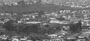Auckland panorama from Mount Albert, 1926 (cropped to Morningside)