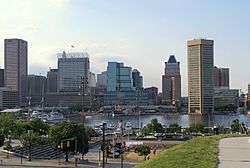 Baltimore Ravens vs Baltimore Orioles R.Lewis and Ripken Skylines