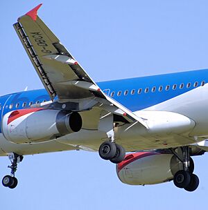 Bmi a319-100 g-dbca closeup arp