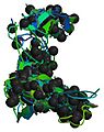 COL1A1 protein - PDB rendering based on 1y0f