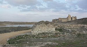 Calatrava Vieja coracha