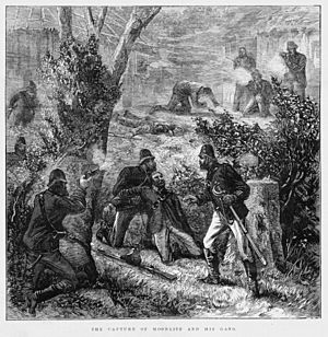 Capture of Captain Moonlite and his gang