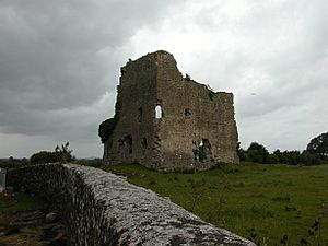 Carrick Castle 2