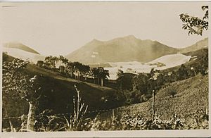 Cayey Road, Cayey, Puerto Rico circa 1900-1917